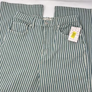 NWT Free People High Wasted Striped Blue Green Flare Jeans Size 29